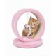 thumbnail image 1 of JUGUETE RASCADOR PARA GATOS PEQUEÑO ROSA, 1 of 3