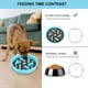thumbnail image 2 of Cuencos para perros Slow Feeder Anipaw de acero inoxidable para perros y gatos, 2 of 7
