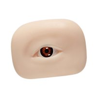 Ioensy - Modelo De Ojo De Silicona Modelo De Práctica De Pestañas Versátil Piel Artificial De Práctica Marrón Derecha