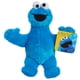 thumbnail image 1 of Peluche con forma de monstruo de galletas de Sesame Street Friends, 20 cm, 1 of 6