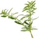 thumbnail image 4 of Suplemento Herbal Té Natural de Hisopo Hoja Suelta 113 g, 4 of 5