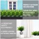thumbnail image 3 of Plantas artificiales TURNMEON Boston Fern, 20 paquetes, para exteriores, 3 of 8