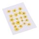 thumbnail image 1 of 20x amarillo natural real prensado flores secas diy artes artesanales suministro 1.2-2cm, 1 of 5