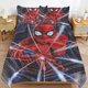 thumbnail image 2 of Spiderman 3 Piece Sets Full/Queen Size - Reversible Microfiber Quilts with 2 Shams Soft Lightweight Bedspread Coverlet Comforter for All Season Bed Sheets, 2 of 5