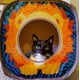 thumbnail image 5 of Cat Cube Kitty City Safari Jungle, escondite desplegable y cubo de juego, 5 of 6