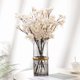thumbnail image 1 of Xiao Hua Flores de durazno artificiales blancas - 4 piezas, 45 cm de largo, flores artificiales de seda para decoración de bodas familiares, adornos colgantes para bodas de primavera., 1 of 3