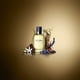 thumbnail image 3 of Dolce & Gabbana Pour Homme EDT 200ml, 3 of 3