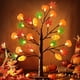 thumbnail image 1 of Árbol Decorativo Retisee 24 Pulgadas LED Luz Día de Acción de Gracias, 1 of 3