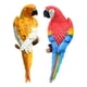 thumbnail image 5 of 2 Figuras De Loro Para Decorar El árbol De La Pared, De Resina, Para Césped, Jardín, Color Amarillo Y Rojo., 5 of 5