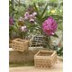 thumbnail image 5 of Macetero Better-Gro Cuadrado de Madera 20 cm, 5 of 7