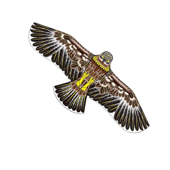 Al Aire Libre Eagle Kite Sport Playing Toy DIY Toy Para Beach Garden Park Brown