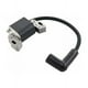 thumbnail image 2 of Bobina de encendido con bujía para cortacésped Briggs & Stratton 08P500, 08P600, 093J02, 09P600 y 09P700. Reemplaza 798534, 799582, 593872 y 595009., 2 of 5