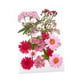 thumbnail image 4 of Kits De Hojas Secas De Flores Prensadas Secas Para álbumes De Recortes, Sobres, Marcadores, Mezcla Rosa, 4 of 5