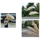 thumbnail image 1 of Set 2 Plantas Pampas Artificiales Esponjosa Deco Bohemia Lau, 1 of 3