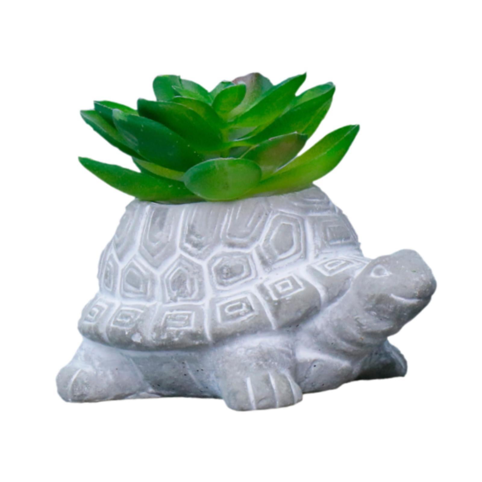 Ioensy - Maceta Con Forma De Tortuga Suculenta, Ideal Como Regalo De Hotel O Centro De Mesa.