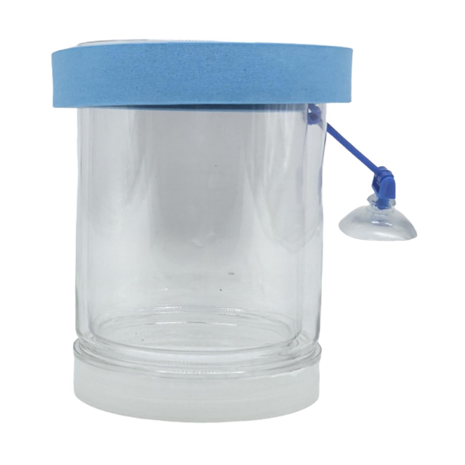 Caja De Aislamiento Flotante Para Peces, Caja De Cría Para Crías De Peces, Alevines De Guppy Y Peces Payaso Pequeños De Color Azul