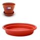 thumbnail image 2 of Plato De Maceta Redondo Dura Kotta 40cm / Terracota –, 2 of 3