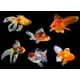 thumbnail image 3 of Tetra Golsdfish Flakes 1000ml alimento peces agua fria, 3 of 3
