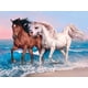 thumbnail image 1 of Kits de pintura de diamantes 5D de caballo, kits de pintura de animales con diamantes de imitación, taladro redondo completo, bordado de cristales de imitación, para decoración de pared del hogar y la, 1 of 7