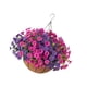 thumbnail image 5 of Jardinera De Campanilla Falsa Para Jardín, Arreglo De Campanilla Falsa, Plantas Falsas, Rosa Violeta, 5 of 5