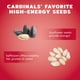 thumbnail image 3 of Bird Seed Audubon Park Cardinal, mezcla de girasol y cártamo, 3,6 kg, 3 of 9