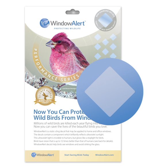 Pegatinas para Ventana WINDOWALERT 4 cm – Set de Protección de Aves