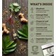 thumbnail image 4 of Pasta para Bienestar Equino Grado Veterinario 28,5 g Natural, 4 of 9