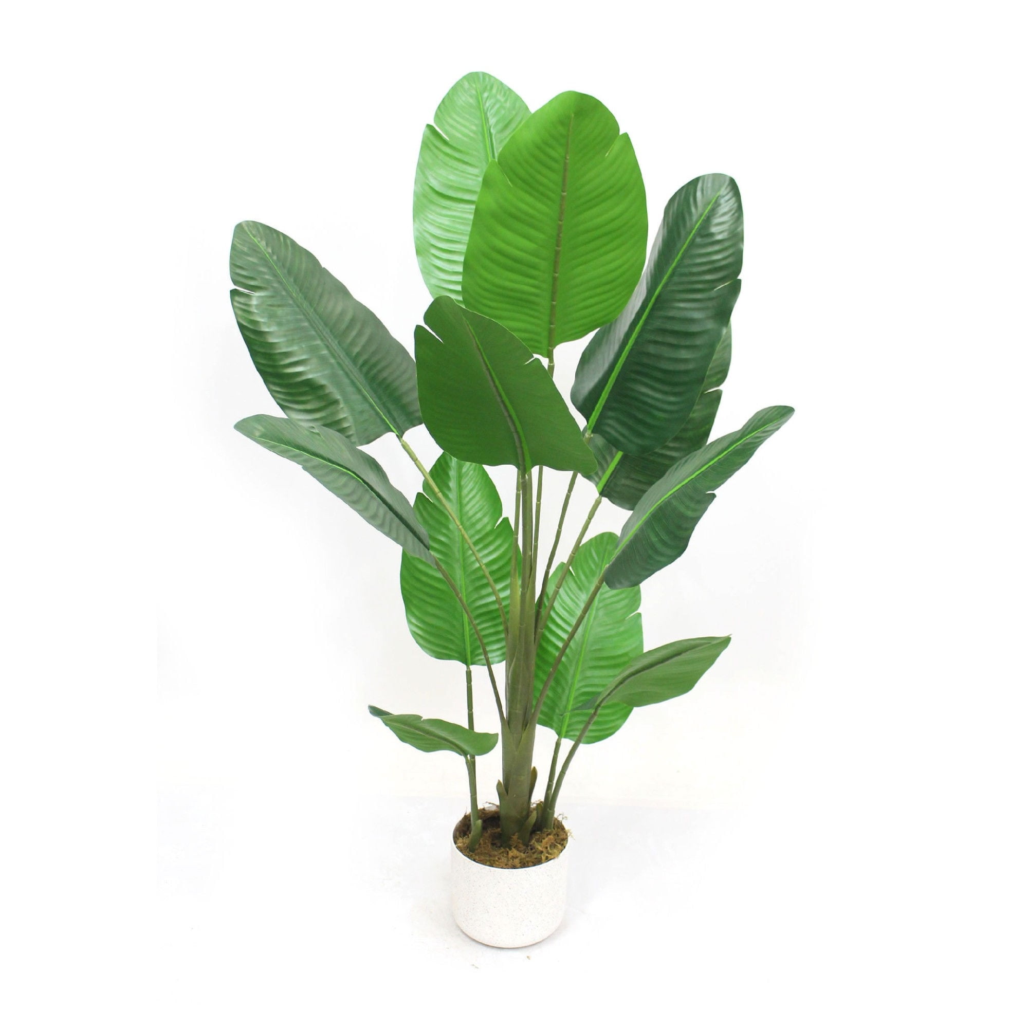 Expert Gardener - Planta Artificial Goma 90Cm