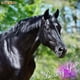 thumbnail image 5 of Shampoo y acondicionador Mane 'n Tail Gloss Combo 473 ml, 5 of 7