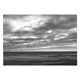 thumbnail image 1 of Álbum The Orchard – Tonic Immobility, 1 of 1