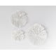 thumbnail image 3 of Conjunto Coral de Decoración de Pared Creative Co-Op – 3 Tallas, 3 of 9