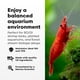 thumbnail image 3 of Suplemento mineral para acuarios Brightwell Aquatics Caridina GH+ 250 ml, 3 of 7