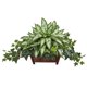 thumbnail image 1 of Planta artificial Silver Queen y hiedra con maceta de Nearly Natural, 1 of 1