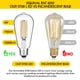 thumbnail image 4 of Bombillas LED Gozelux Vintage Edison de 6 W, 2700 K, E26, regulables, paquete de 6, 4 of 7