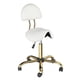 thumbnail image 1 of Silla de dibujo OmySalon, taburete ergonómico con respaldo, 1 of 9