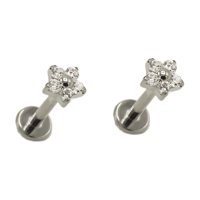 Elbauldejuma - Aros Flor Titanio Zirconia Astm F136 G26 Plateados