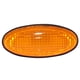 thumbnail image 1 of Farol lateral tapabarro delantero izquierdo derecho nissan terrano d22 3.2 1997 2004, 1 of 2