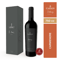 Vino Carmen Delanz Carmenere 750Cc X6