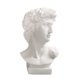 thumbnail image 5 of Jardinera De Estatua De Busto Decorativo De Maceta De Plantas De David De Mitología Griega, 5 of 5