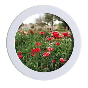 Bothyi - Marco De Fotos De Madera Clásico, Soporte De Imagen De Retrato De Adorno Montado En La Pared Redondo