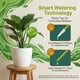 thumbnail image 4 of Globos de riego para plantas Little Green Leaf, juego de 6 (350 ml), 4 of 8