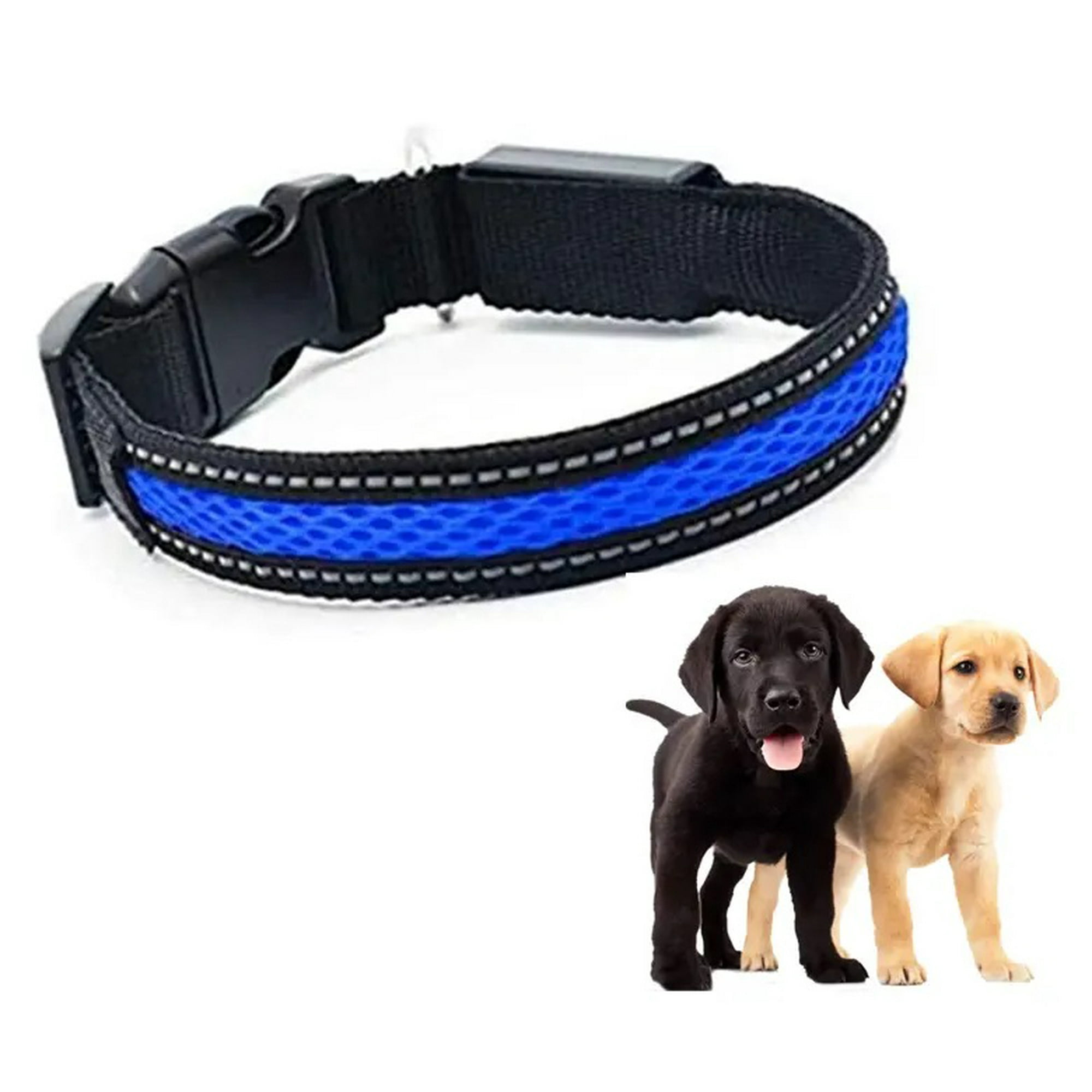 Genérico - Collar Luz Led 3 Modos Luz Carga Usb Perros Gatos Talla S Azul