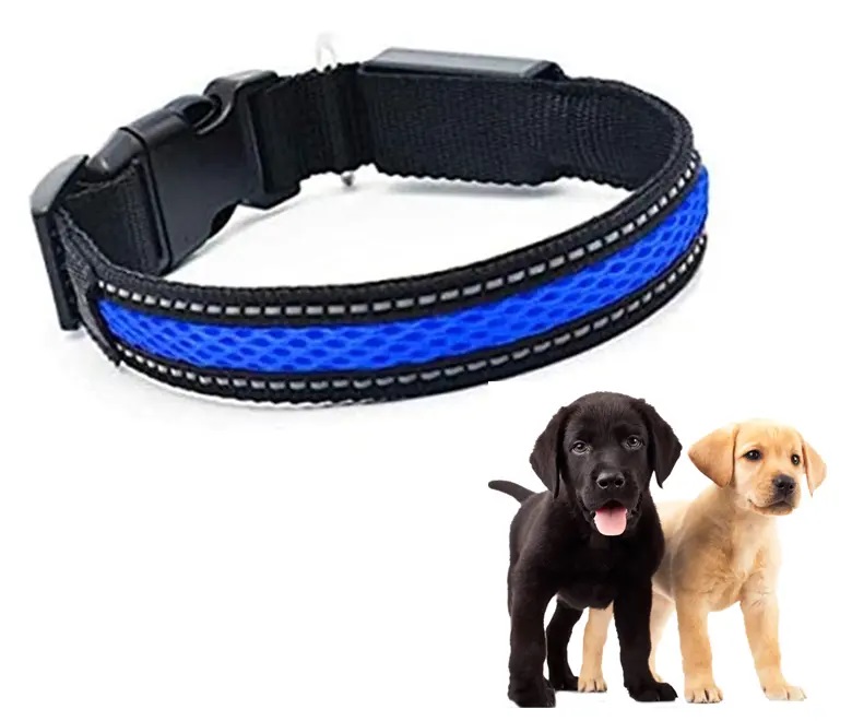 Genérico - Collar Luz Led 3 Modos Luz Carga Usb Perros Gatos Talla S Azul