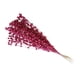 thumbnail image 3 of Falsa Baya Tallos Decoración Simulación Flor Plantas Guirnalda Fiesta Rosa Rojo, 3 of 5