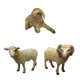 thumbnail image 3 of 3 Animales De Oveja Realistas, Modelo De Granja De Zoológico Para Decoración De Fiesta De Navidad De Cumplea?os, 3 of 4