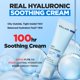 thumbnail image 2 of Crema hidratante WELLAGE Real Hyaluronic 80 ml PDRN, 2 of 7
