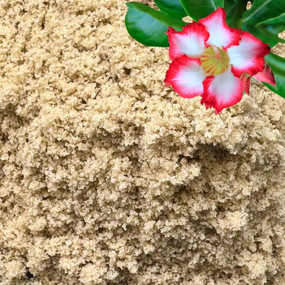 Arena Fina Hortícola Para Plantas 3 L 2 7 Kg