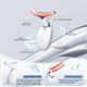 thumbnail image 5 of Masajeador facial cotsoco 7‑en‑1 con terapia de luz roja – blanco, 5 of 7