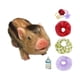 thumbnail image 4 of Juguete Cerdo Renacido Miniatura Nishiyuenyi Estilo C, 4 of 5