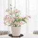 thumbnail image 3 of 4pieces Plant Level Pot Elevator 20cm Diameter Big Plant Stands Pesado Planter Holder Potted Plant Stand Para Cubierta O Patio, 3 of 3